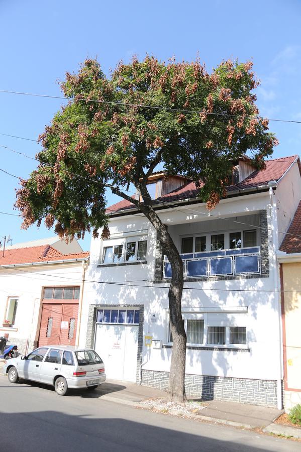 Hiv-Lak Apartman Eger Exterior photo
